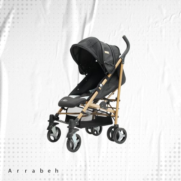 Mars Stroller